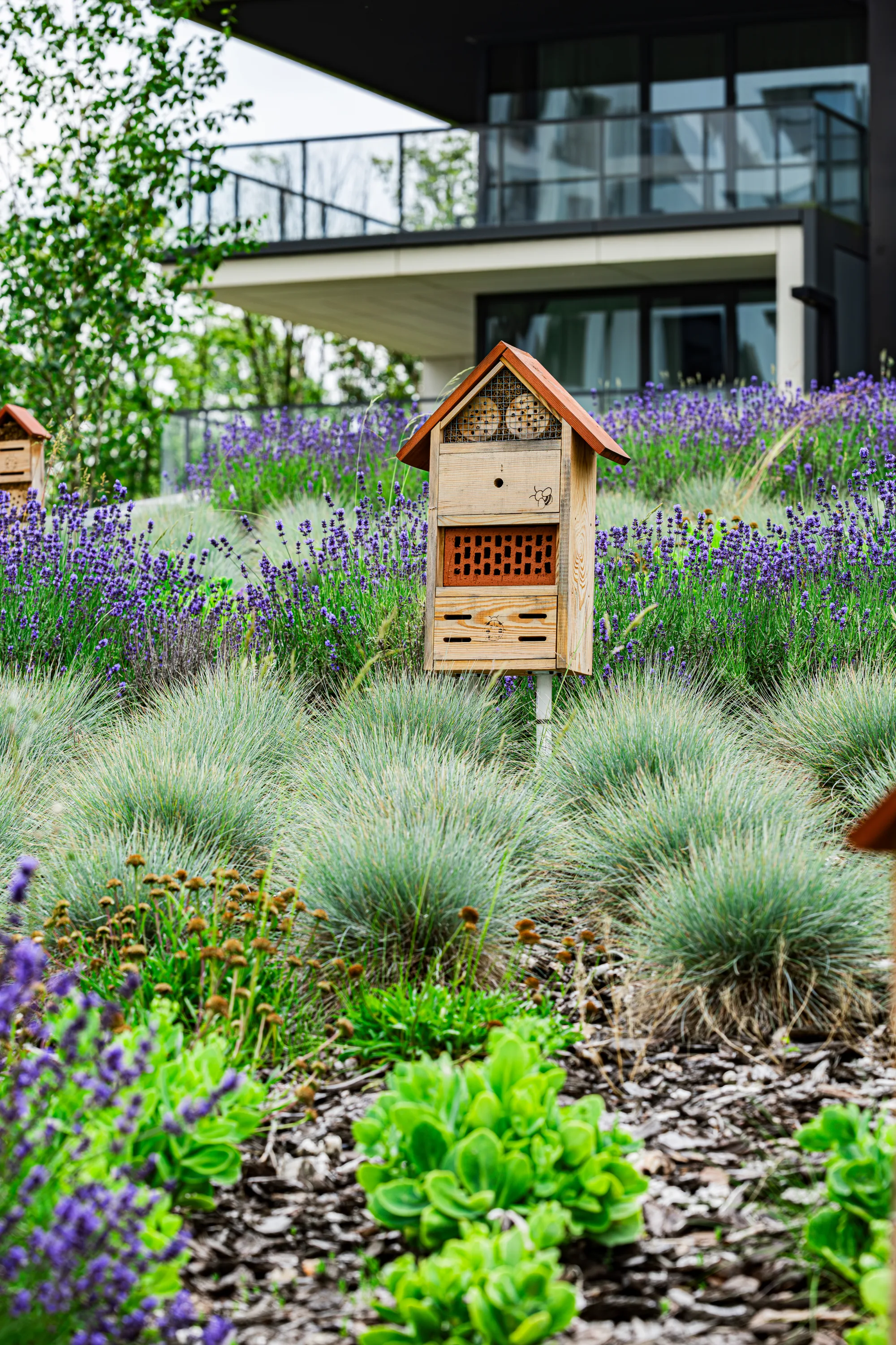 Zdjęcie projektu SHED Living Hotel