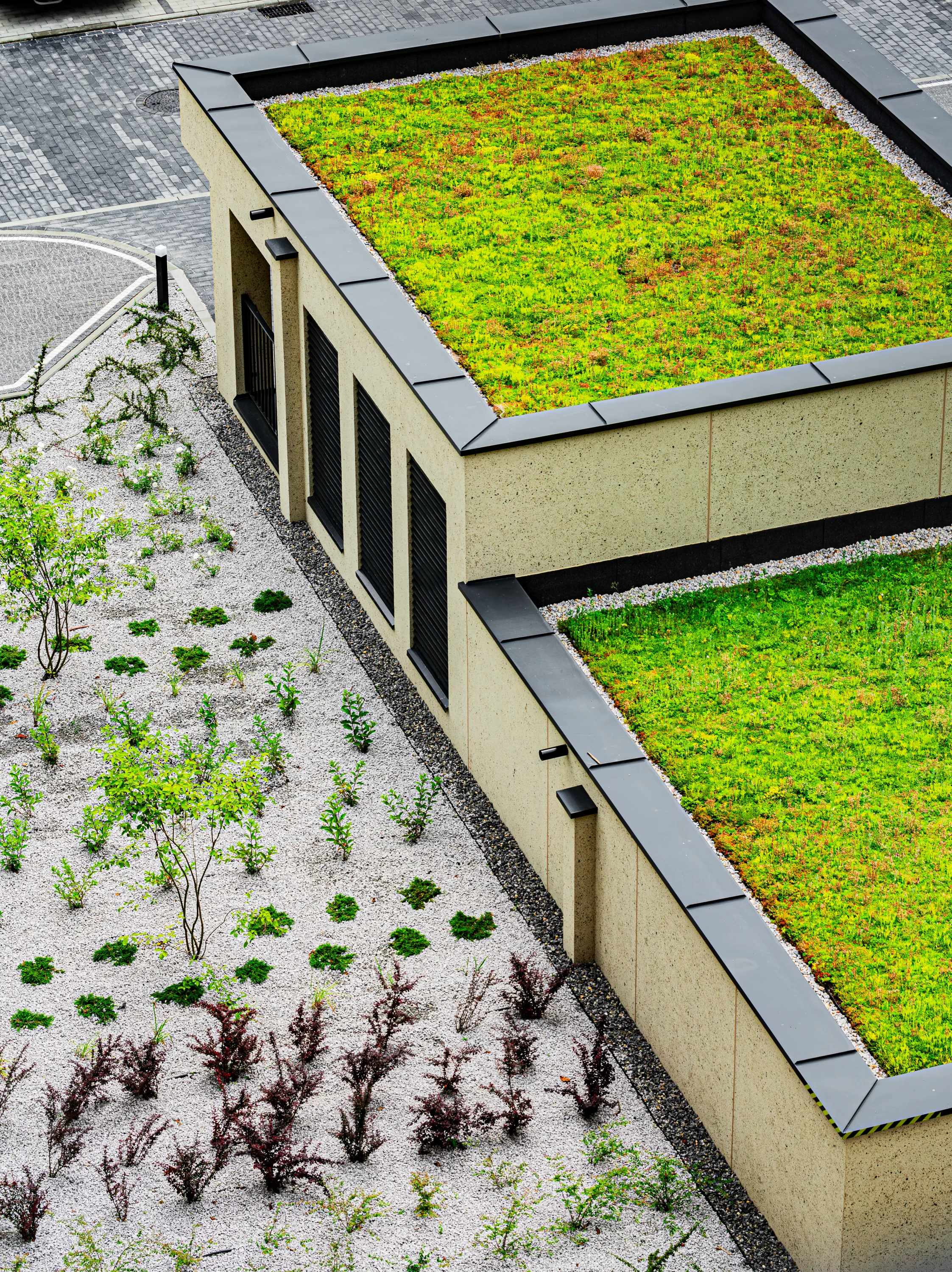 Zdjęcie projektu Pychowicka