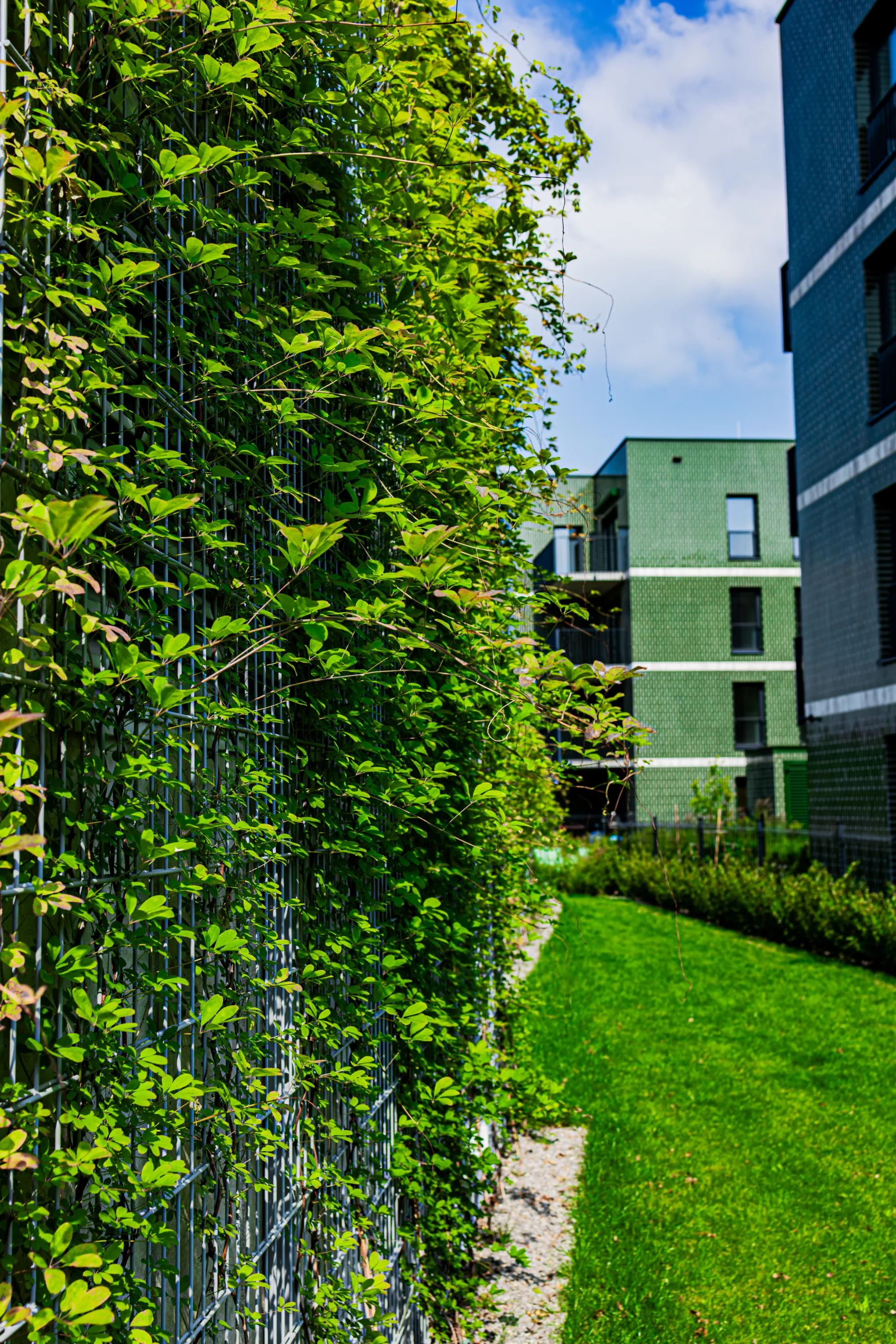 Zdjęcie projektu Osiedle Wizjonerów